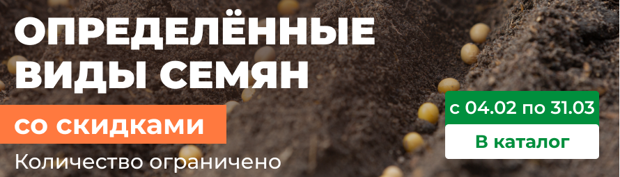 Семена по одной цене
