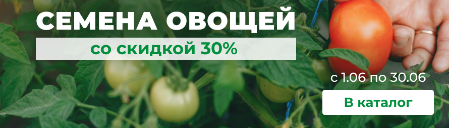 Семена овощей