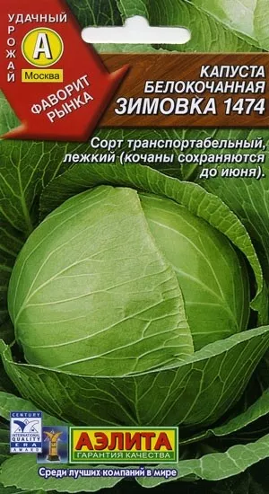 Семена Капуста Зимовка 1474 0,5г Аэлита - купить в интернет магазинеХозСити по низким ценам